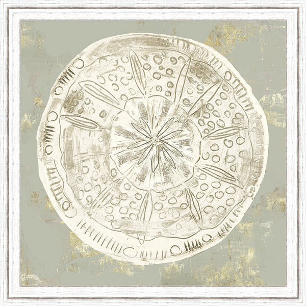 Vintage Sand Dollar III Wall Art