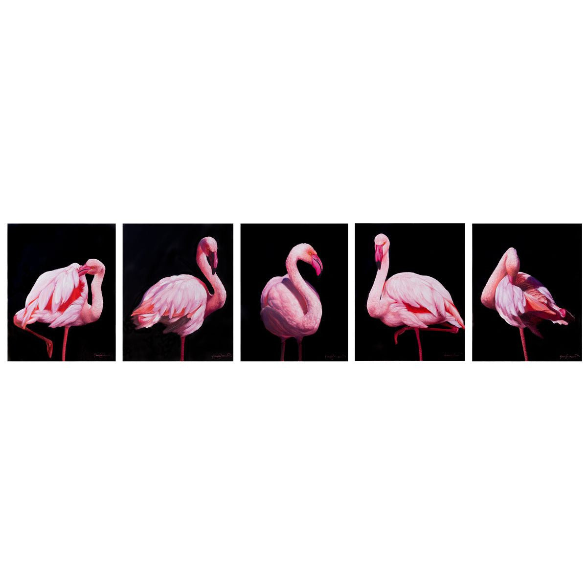 Flamingo Prints - Set of 5