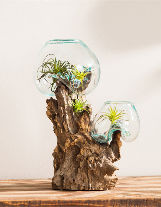Two Glass Votives with Driftwood Stand