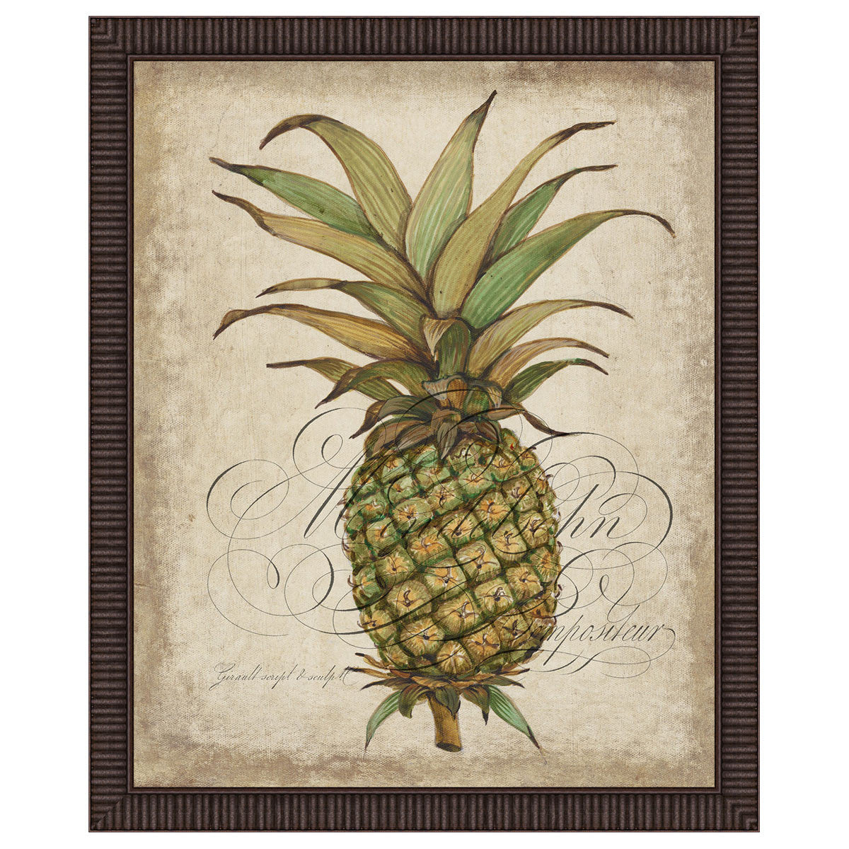 Pineapple Study I Framed Print