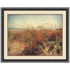 Coastal Shrubs II Canvas Art