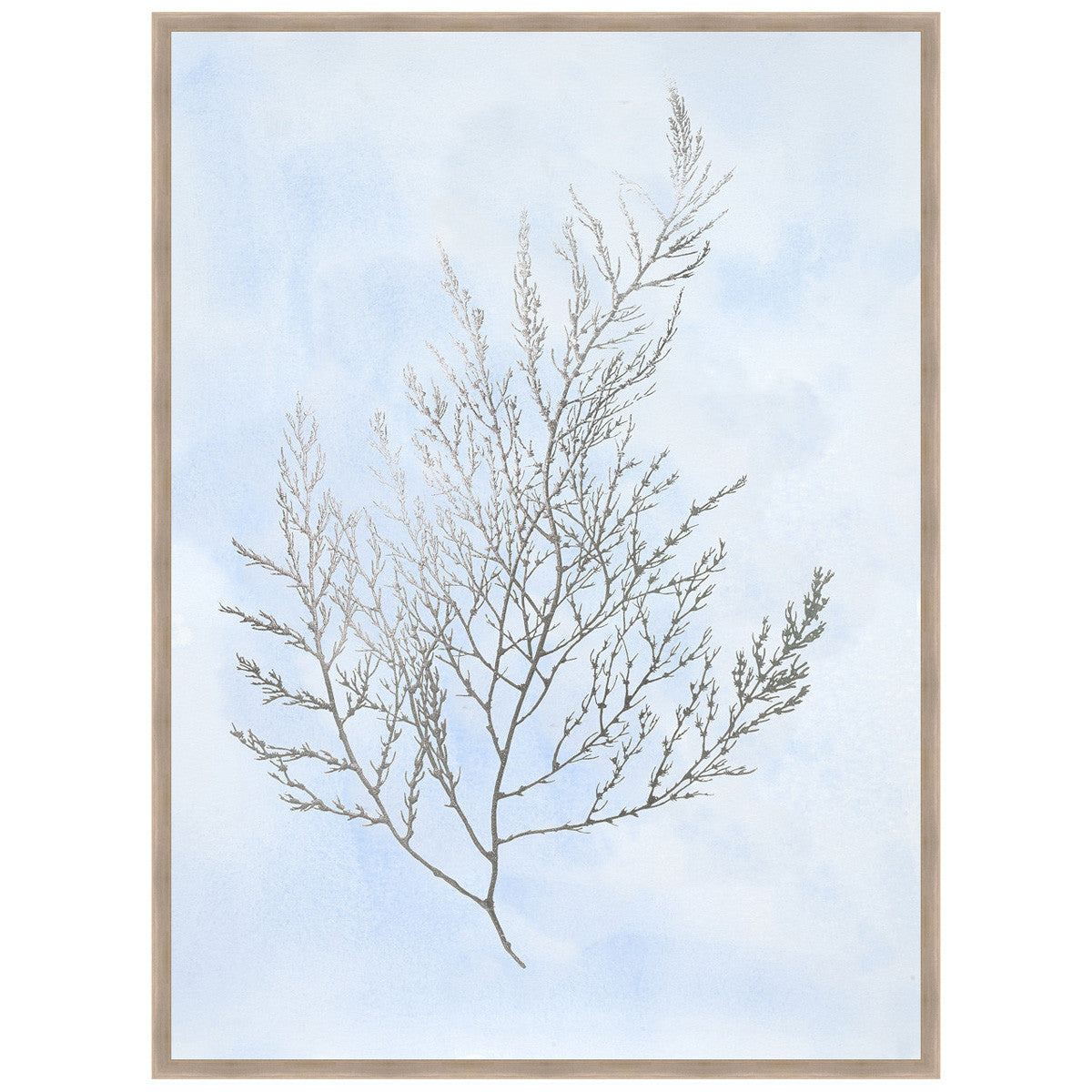 Silver Foil Algae II on Blue Framed Print