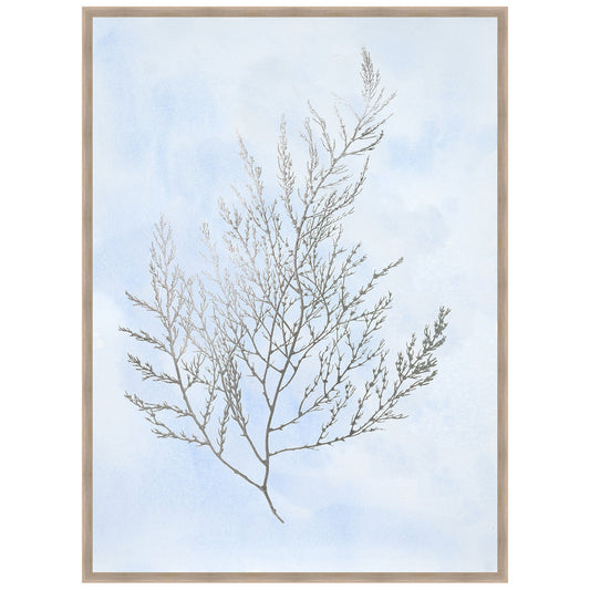 Silver Foil Algae II on Blue Framed Print