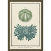 Ocean Journal III Framed Print