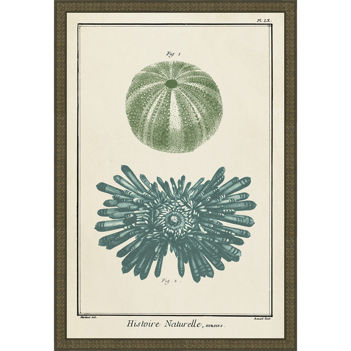 Ocean Journal III Framed Print