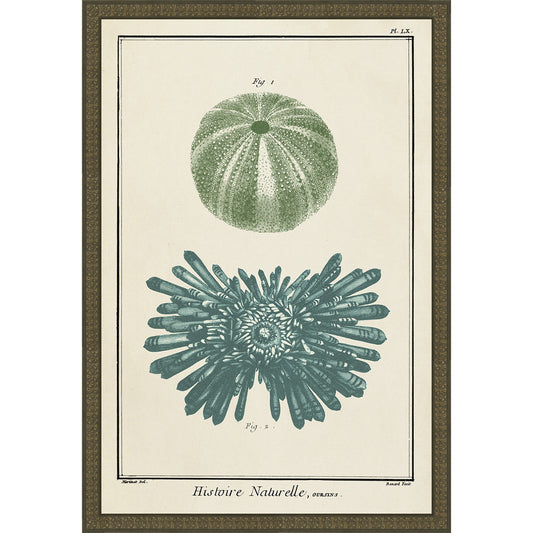 Ocean Journal III Framed Print