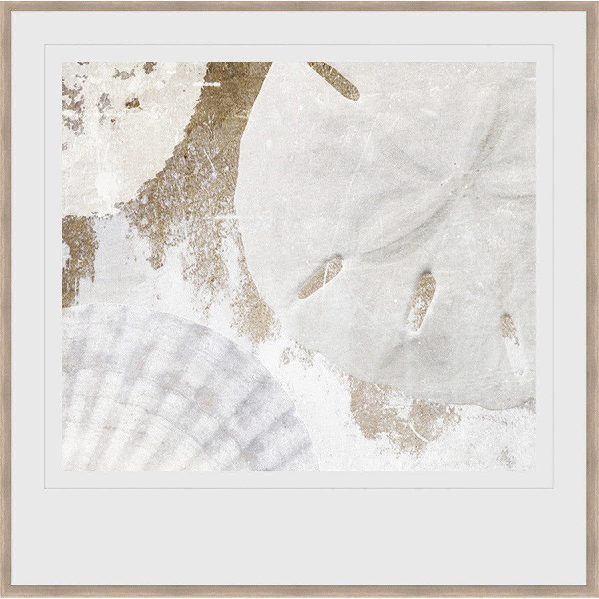Seashell Medley Framed Print