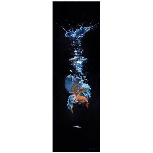 Diving for Silver Limited Edition Print