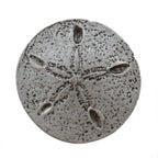Sand Dollar Round Cabinet Knobs - Set of 2