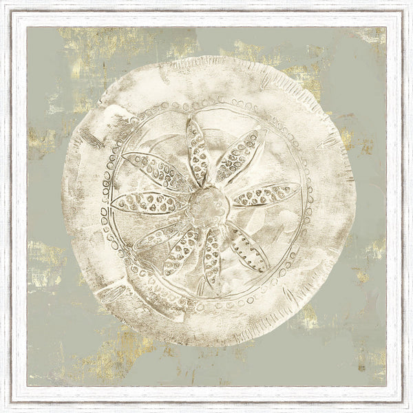 Vintage Sand Dollar I Wall Art