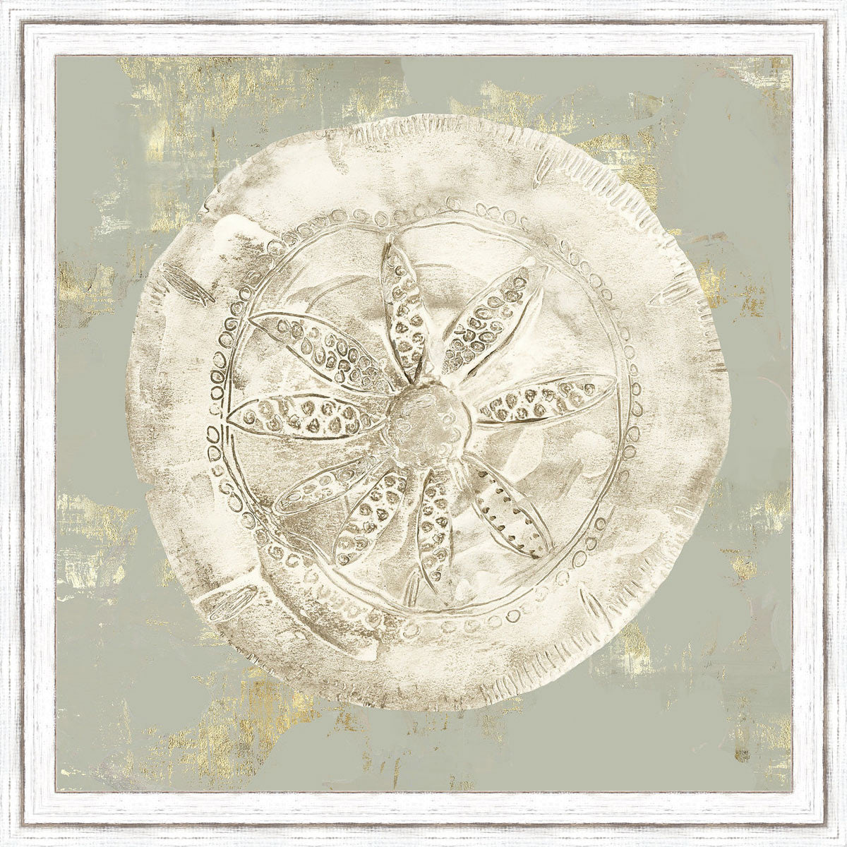 Vintage Sand Dollar I Wall Art