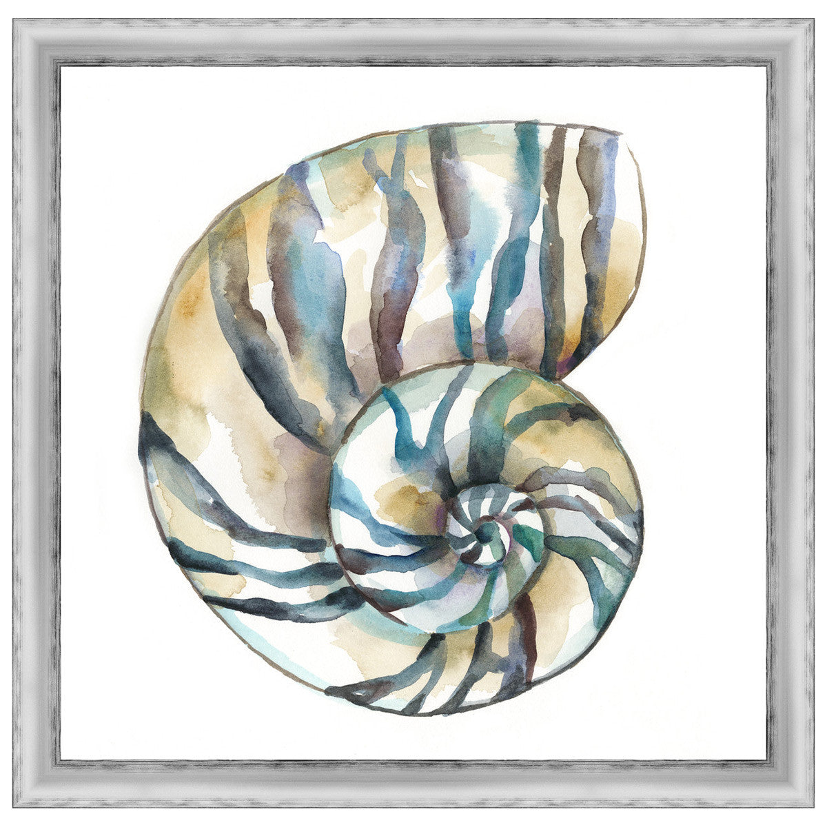 Aquarelle Shells II Framed Print
