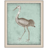 Sepia & Spa Heron IV Framed Print