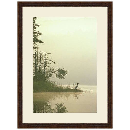 Lone Heron Framed Print