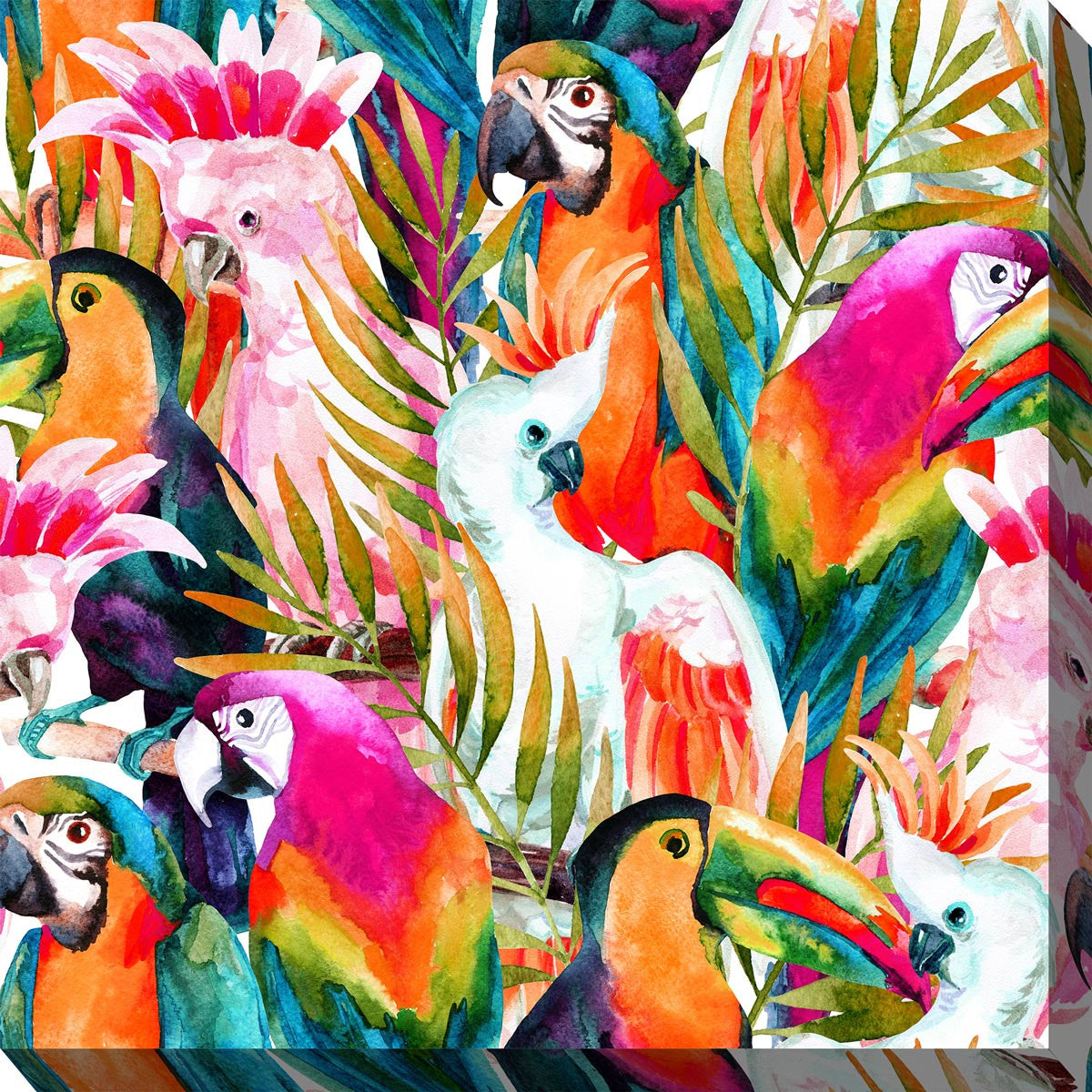 Tropical Birds Canvas Art