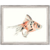 Watercolor Tropical Fish I Framed Print