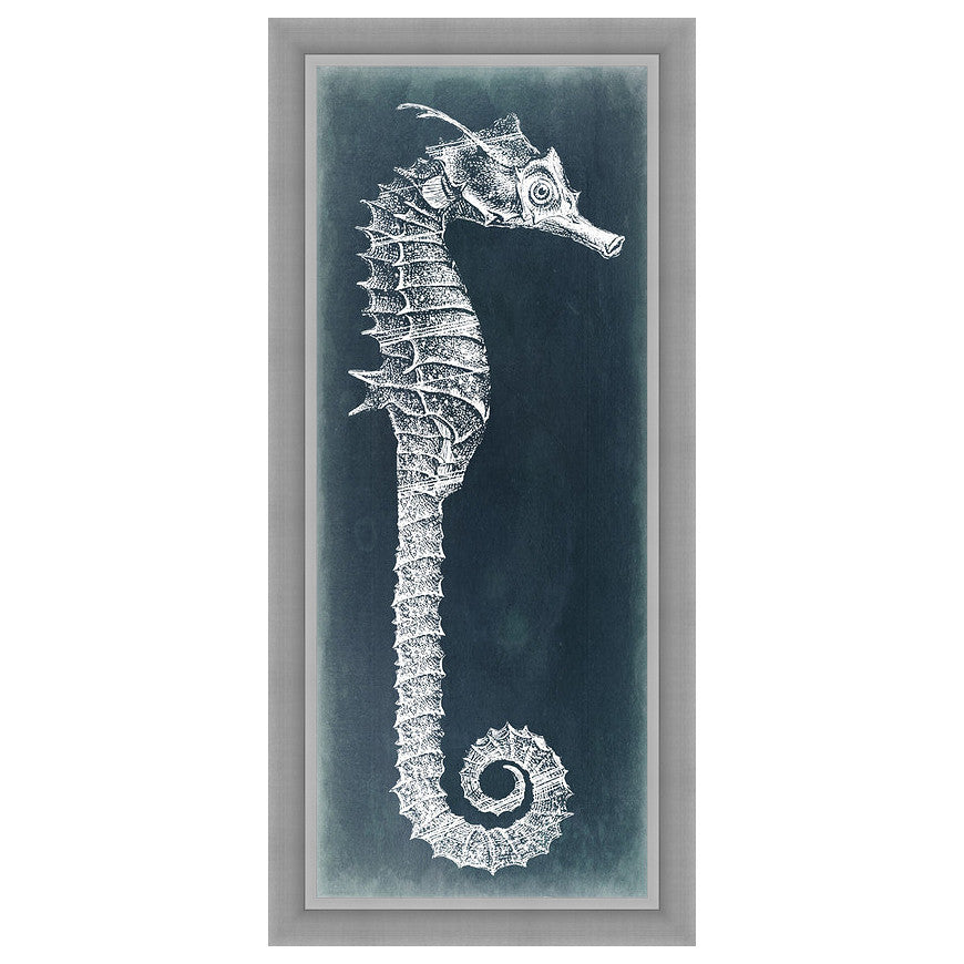 Azure Seahorse II Framed Print
