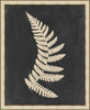 Tropic Fern II Framed Wall Art