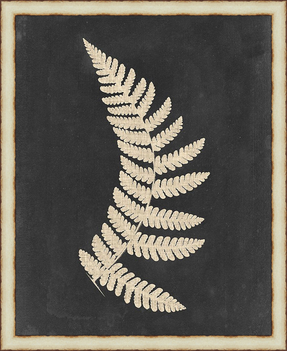 Tropic Fern II Framed Wall Art