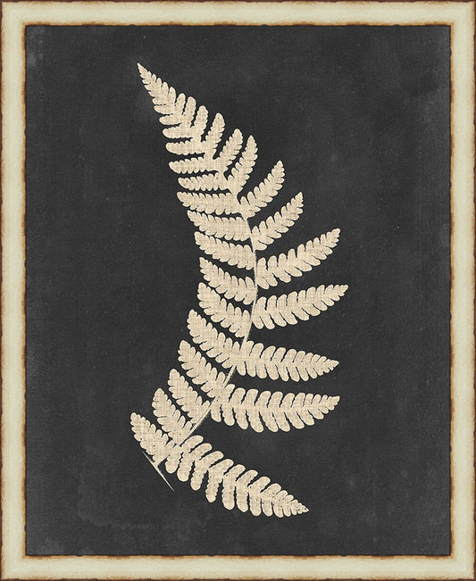 Tropic Fern II Framed Wall Art