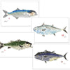 Atlantic Fish Placemats - Set of 4