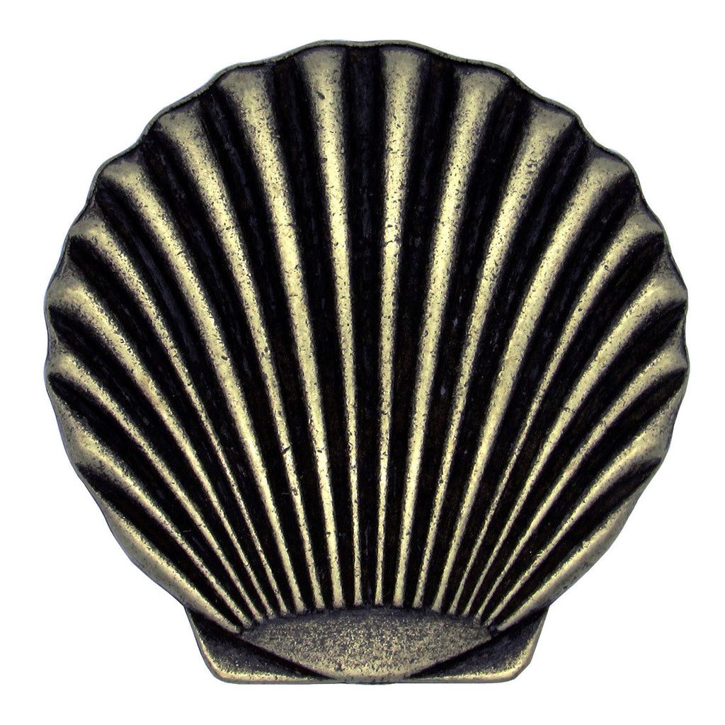 Scallop Shell Knobs - Set of 2
