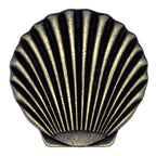 Scallop Shell Knobs - Set of 2