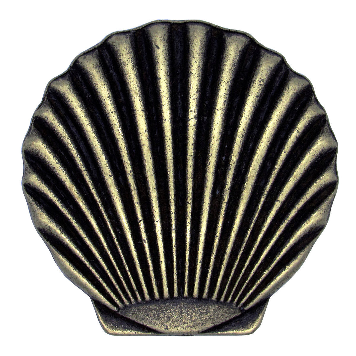 Scallop Shell Knobs - Set of 2