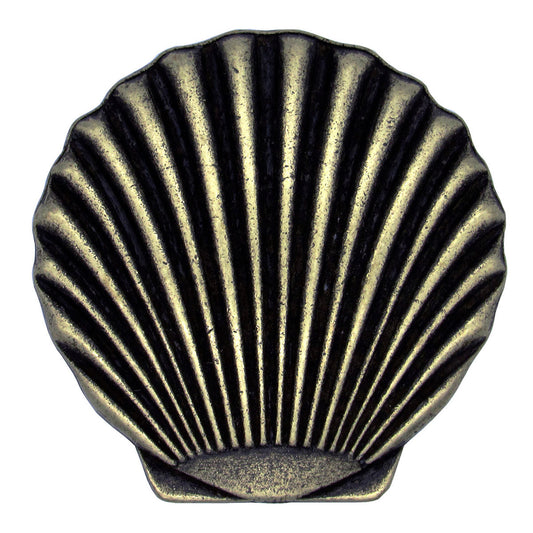 Scallop Shell Knobs - Set of 2