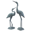 Garden Heron Pair