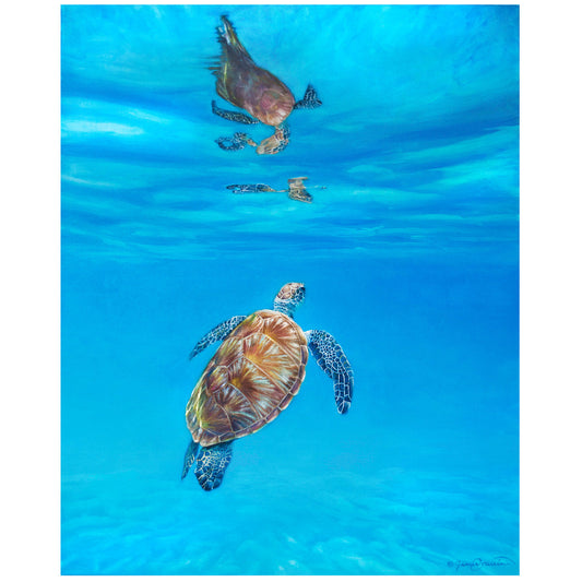 Sea Jewel Limited Edition Print