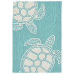 Turtle Time Blue Indoor/Outdoor Rug - 2 x 3