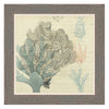 Sea Ephemera III Framed Print