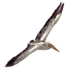 Mykonos Flying Pelican I Metal Wall Art