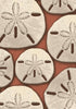 Ocean Treasure Area Rug - Coral