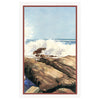 Sea Spray II Framed Print