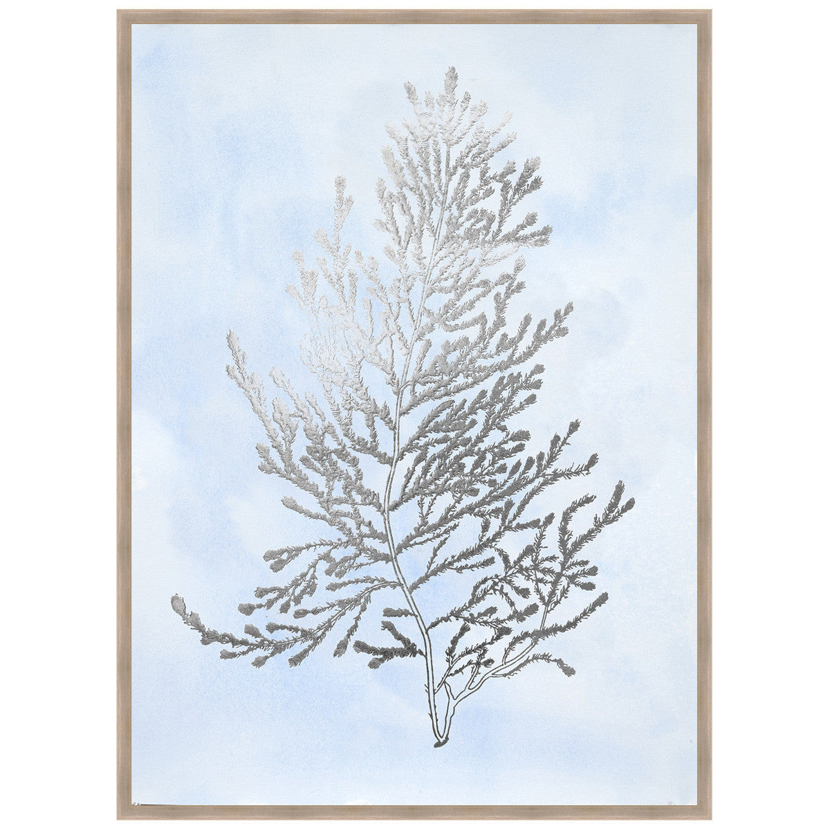 Silver Foil Algae IV on Blue Framed Print