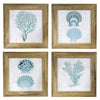 Artwork & Prints
