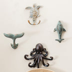 Coat Rack & Hooks