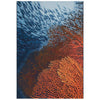 Fire Coral Indoor/Outdoor Rug - 3 x 5