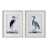 Graceful Beach Birds Framed Prints - Set of 2