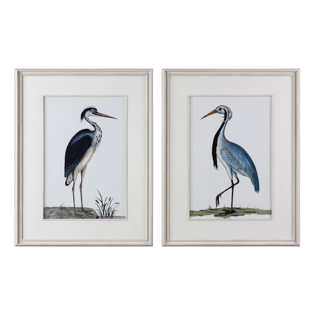 Graceful Beach Birds Framed Prints - Set of 2