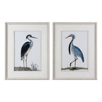 Graceful Beach Birds Framed Prints - Set of 2
