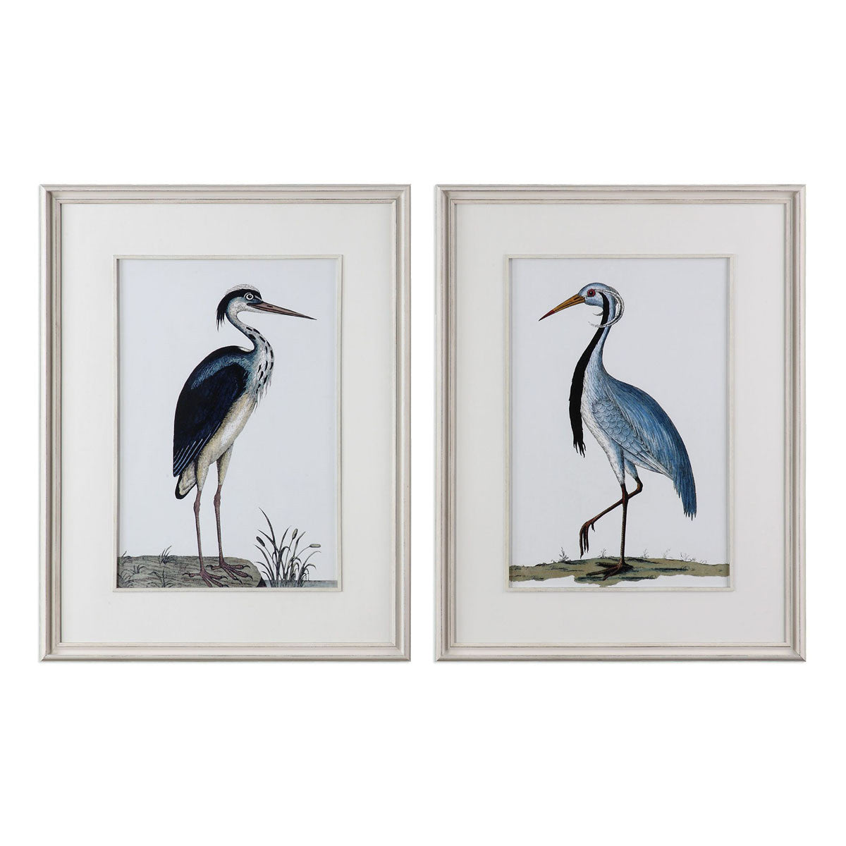 Graceful Beach Birds Framed Prints - Set of 2