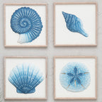 Indigo Isle Scallop Shell Wall Art