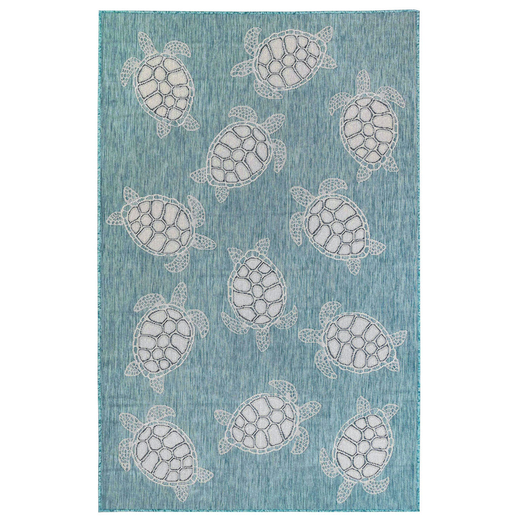 Marisol Bay Aqua Indoor/Outdoor Rug - 5 x 8