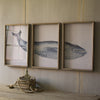 Big Blue Whale Framed Prints - Set of 3