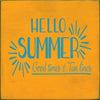 Hello Summer Wood Sign