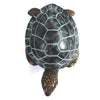Seabreeze Turtle Doorknocker