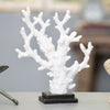 Coral Statue